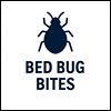 Bed Bug Bites
